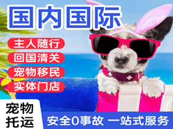 桂林空运代理国际宠物托运 【国